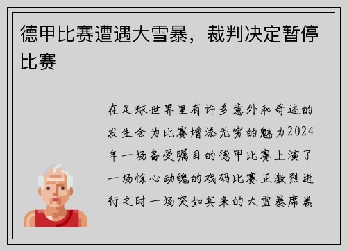 德甲比赛遭遇大雪暴，裁判决定暂停比赛