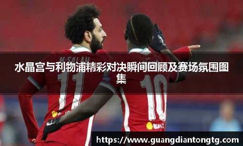 水晶宫与利物浦精彩对决瞬间回顾及赛场氛围图集